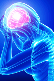 Diagram showing brain-body connection in pain perception.