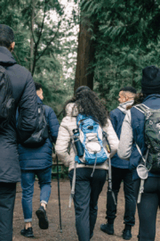 Group hiking a forested trail in Maine during summer.
