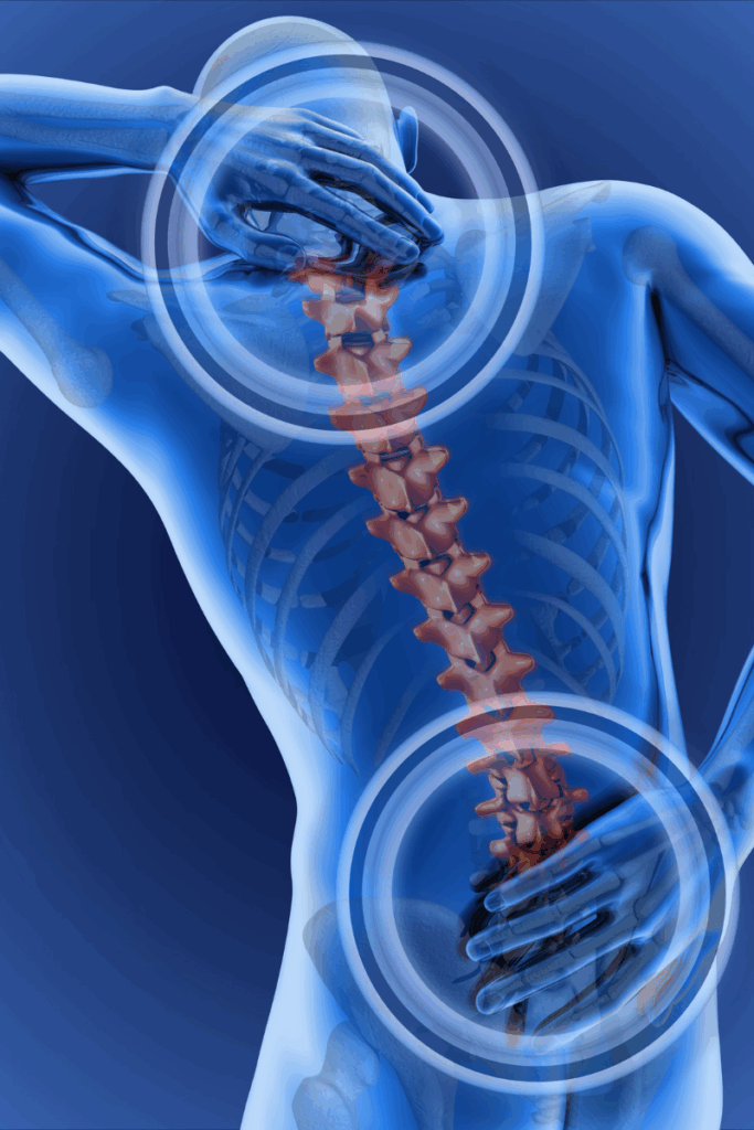 physical therapy for lower back pain